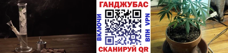 Как найти наркотики Малгобек Гашиш  A PVP  Меф мяу мяу  Бошки Шишки  COCAIN 