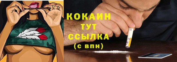мяу мяу мука Костерёво