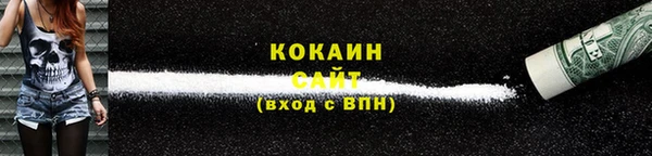ешки Корсаков