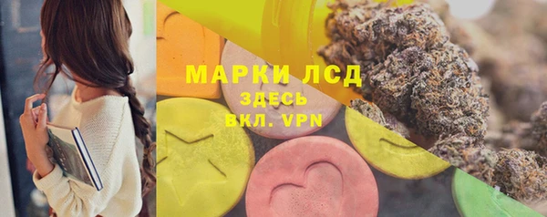 ешки Корсаков