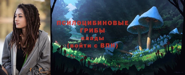 мяу мяу мука Костерёво