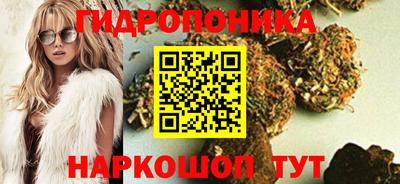 PSILOCYBIN Заводоуковск