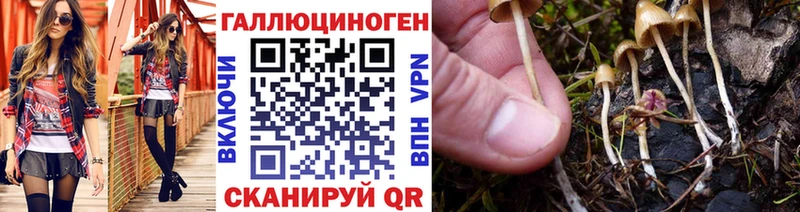 где продают наркотики Малгобек hydra ссылки Псилоцибиновые грибы Psilocybe