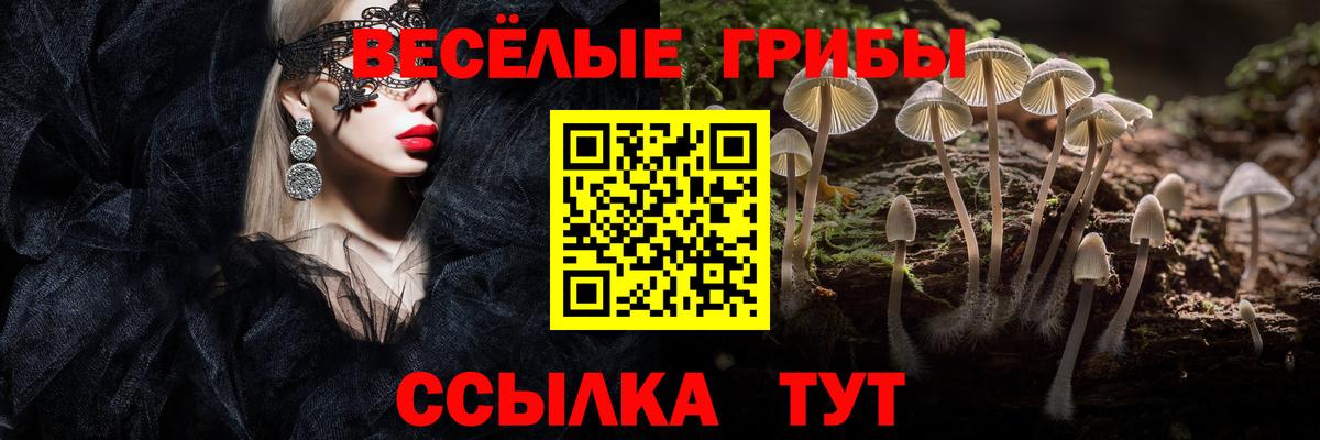 Малгобек  Псилоцибиновые грибы GOLDEN TEACHER  Галлюциногенные грибы мицелий  Вход с VPN 