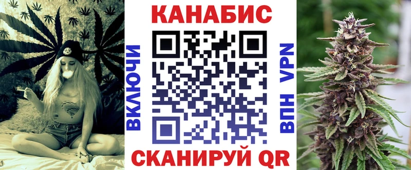 Канабис сатива  где найти наркотики  дарк нет состав  Малгобек 
